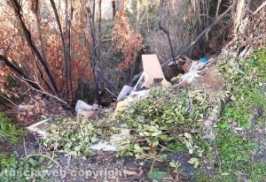 Viterbo - Rifiuti attorno alle mura civiche