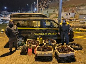 Tarquinia - Il sequestro dei ricci di mare