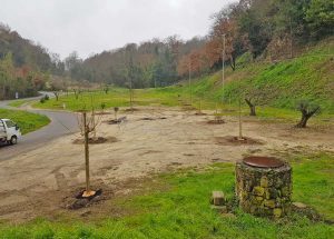 Bassano in Teverina - Progetto Ossigeno