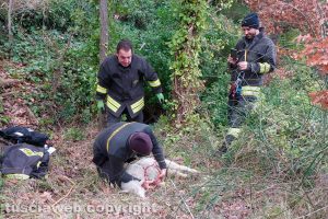 Castiglione in Teverina - L'intervento dei vigili del fuoco