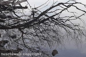 Riflessi sull'acqua