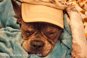 Lo scatto di Mauro Brucchi