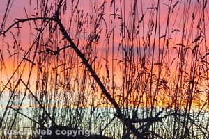 Colori al tramonto nella campagna di Castel D'Asso