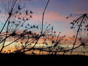 Un tramonto
