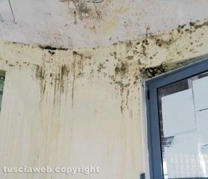 Infiltrazioni d'acqua nella scuola dell'infanzia di Tobia