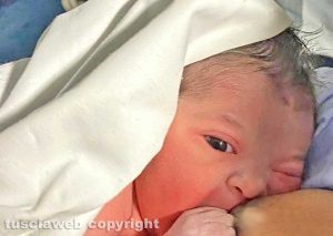 Aisha Anna Rosa Camilli