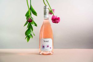 Il vino Sorè 2021
