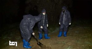 Carcasse di polli interrate nei pressi di un allevamento del Viterbese