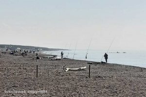 Marina di Montalto di Castro