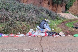 Civita Castellana - Incuria lungo strada Terrano