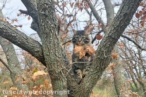 Lo scatto di Francesco Pietrangeli