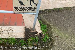 Viterbo - Bisogni dei cani in via Treviso