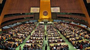 Assemblea Onu
