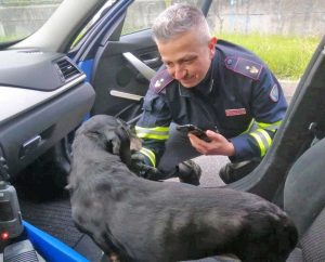 Il bassotto salvato sulla Orte - Terni