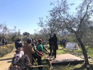 Cooperativa Alicenova - Immagine di repertorio