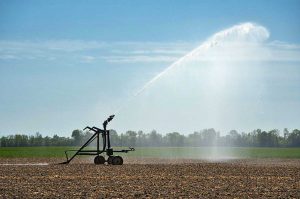 Agricoltura - Irrigazione