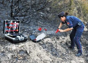 Incendio boschivo - Intervento dei carabinieri forestali