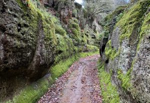 Il parco archeologico di Cerveteri e Tarquinia