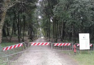 Viterbo - Lavori al parco di Villa Lante a Bagnaia