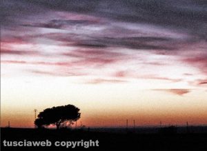 Viterbo - Tramonto in campagna