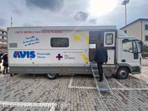 Viterbo - Plasma emoteca Avis