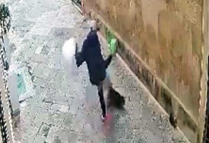 Lecce - Gatto preso a calci e ucciso