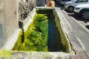 Viterbo - La fontana storica di piazzale Gramsci nell'incuria