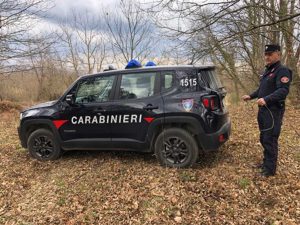 Carabinieri forestale