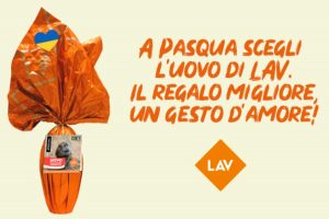 Uovo Lav