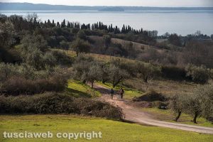 Via Francigena