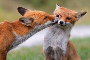 La foto di Giuliano Zappi