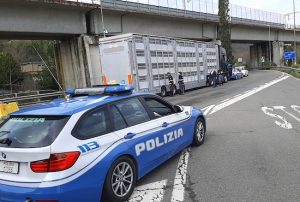 Trasporto animali - I controlli della polizia
