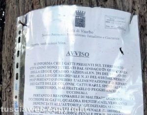 Viterbo - Avviso del comune al cimitero San Lazzaro