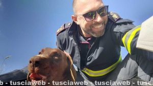 Viterbo - Il cane salvato dalla polizia stradale
