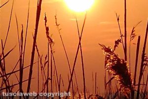 Tramonto