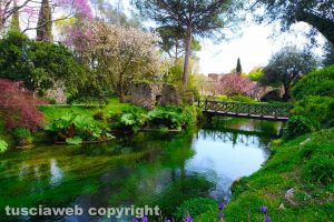 Il giardino di Ninfa