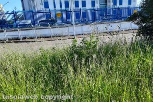 Viterbo - La rotonda di piazza degli Inventori