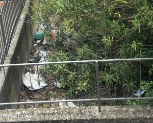 Viterbo - Piazza Castel dell'Ovo