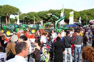 Tarquinia - La fiera al lido