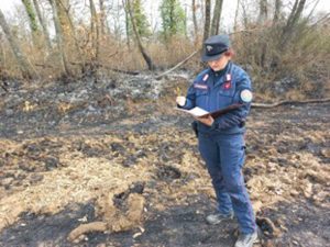 Carabinieri forestali