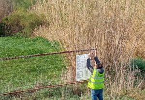 Tarquinia - Lavori al fiume Marta