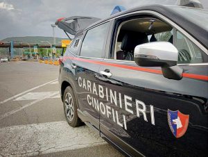 I carabinieri cinofili