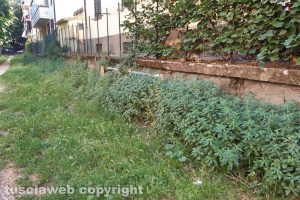 Viterbo - Incuria al Pilastro