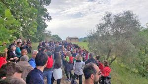Bagnoregio - La Passeggiata nella valle dei Calanchi