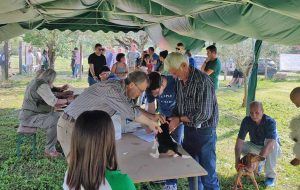 Montefiascone - Il Microchip day