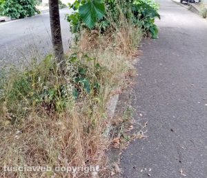 Viterbo - Degrado in strada della Grotticella