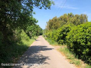 Strada Costa Volpara a Bagnaia