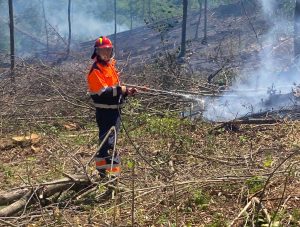 Incendio boschivo