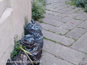 Viterbo - Buste dell'immondizia ed erbacce