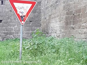 Viterbo - Erba alta a Porta della Verità